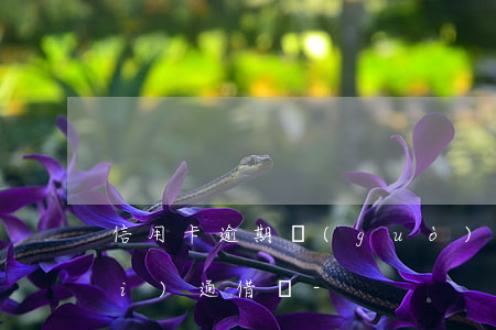 信用卡逾期過(guò)是否可以開(kāi)通借唄-