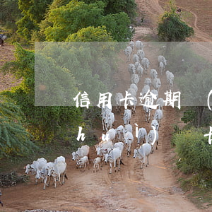 信用卡逾期過(guò)會(huì)會(huì)凍卡嗎(逾期多久信用卡會(huì)被凍結(jié))