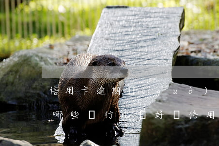 信用卡逾期過(guò)用什么貸款好(逾期哪些銀行比較好辦信用卡)