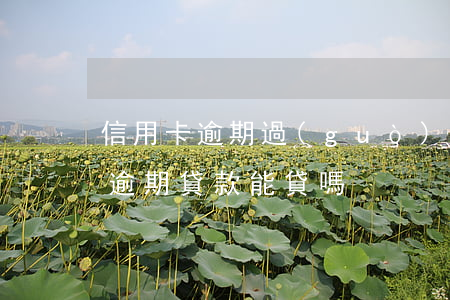 信用卡逾期過(guò)能不能貸款(信用卡逾期貸款能貸嗎)