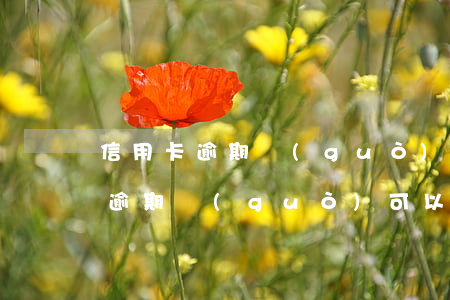 信用卡逾期過(guò)能不能辦理信用卡(逾期過(guò)可以辦理信用卡)