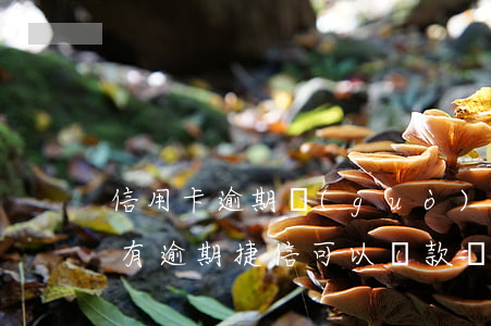 信用卡逾期過(guò)能貸捷信嘛(信用卡有逾期捷信可以貸款嗎)