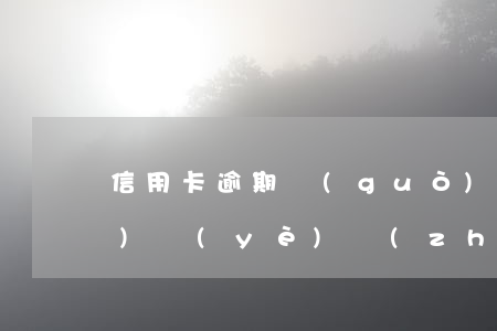 信用卡逾期過(guò)能辦營(yíng)業(yè)執(zhí)照(有信用卡逾期可以注冊(cè)公司嗎)