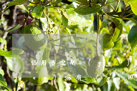 信用卡逾期過(guò)還可以申請(qǐng)嘛(有過(guò)逾期還能辦信用卡嗎)