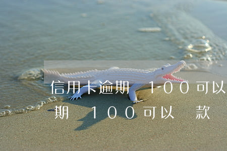 信用卡逾期過100可以貸款嗎-信用卡逾期過100可以貸款嗎知乎
