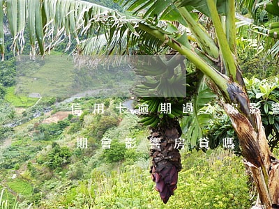 信用卡逾期過2次影響房貸嗎(2次信用卡逾期會影響房貸嗎)