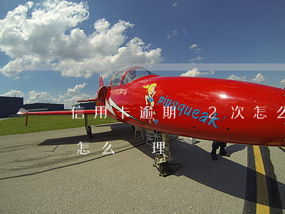 信用卡逾期過2次怎么辦 信用卡逾期過2次怎么辦理