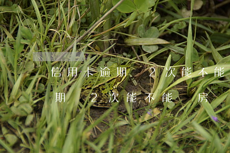 信用卡逾期過2次能不能辦房貸-信用卡逾期過2次能不能辦房貸