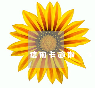 信用卡逾期過3次(兩年十幾次信用卡逾期)