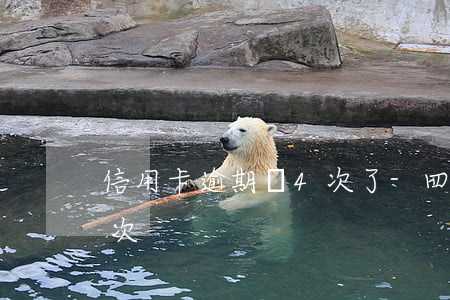 信用卡逾期過4次了-四年前信用卡逾期一次