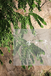 信用卡逾期過4次(信用卡逾期4次能辦商業(yè)貸款嗎)
