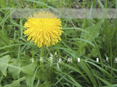 信用卡逾期過5個月房貸還能