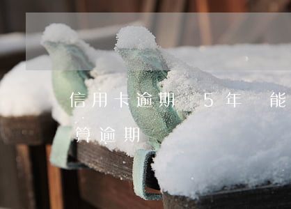 信用卡逾期過5年還能看到(信用卡5天沒還算逾期嗎)