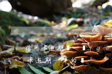 信用卡逾期過一個(gè)月怎么辦(有信用卡逾期一年的嗎)