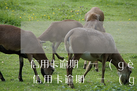 信用卡逾期過一個(gè)月還能辦卡嗎-信用卡逾期過一個(gè)月還能辦卡嗎
