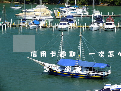 信用卡逾期過一次怎么消除(有信用卡逾期記錄怎么消除)