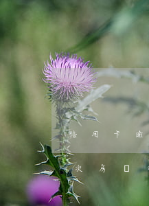 信用卡逾期過一次房貸利率(信用卡逾期過一次房貸利率)
