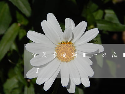 信用卡逾期過一次注銷了(信用卡逾期被注銷了)