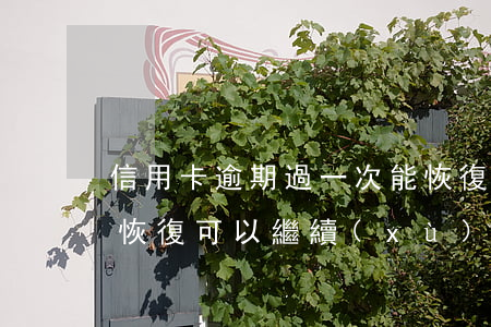 信用卡逾期過一次能恢復嗎(信用逾期五年后恢復可以繼續(xù)申請信用卡嗎)