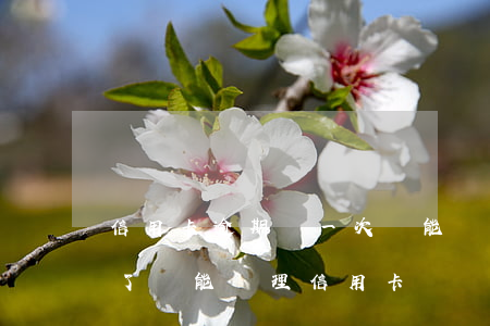 信用卡逾期過一次還能辦房貸嗎-房貸逾期了還能辦理信用卡嗎