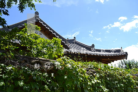 信用卡逾期過不能分期(已經(jīng)逾期的信用卡如何辦理分期)