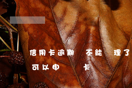 信用卡逾期過不能辦理了(信用卡有過逾期還可以申請辦卡)