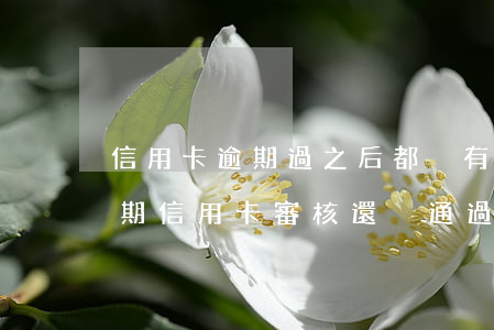 信用卡逾期過之后都沒有逾期(為什么沒有逾期信用卡審核還沒通過)
