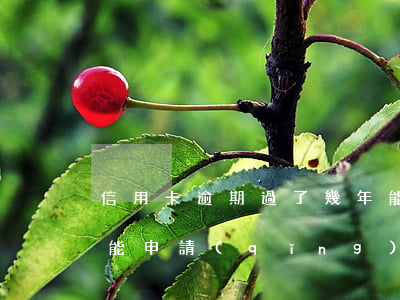 信用卡逾期過了幾年能重新申卡(逾期后幾年能申請(qǐng)信用卡)