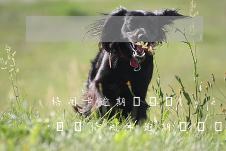 信用卡逾期過兩個(gè)月,買車按揭有影響嗎（信用卡逾期過兩個(gè)月）