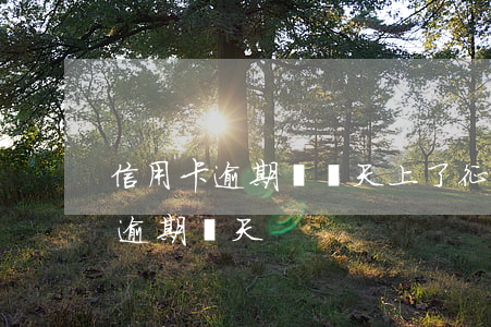 信用卡逾期過兩天上了征信怎么辦-信用卡 逾期兩天