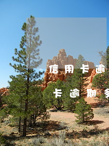 信用卡逾期過半個月會上征信嗎(征信中信用卡逾期多久可以不算)