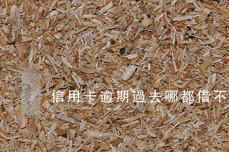 信用卡逾期過去哪都借不到錢