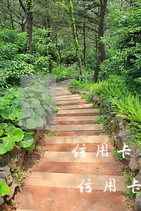 信用卡逾期過后-信用卡逾期過后多久能辦信用卡