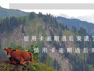 信用卡逾期過后來還了有額度了但是用不了-信用卡逾期過后來還了有額度了但是用不了怎么辦