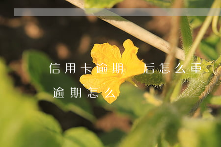 信用卡逾期過后怎么重開(信用卡逾期重組又逾期怎么辦)