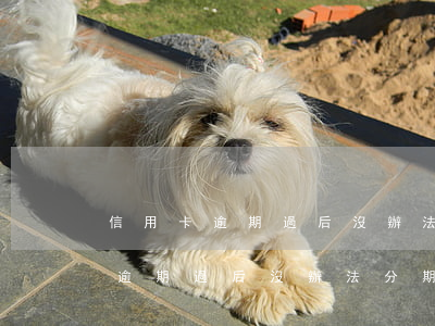 信用卡逾期過后沒辦法分期怎么辦-信用卡逾期過后沒辦法分期怎么辦呢
