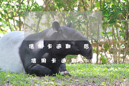 信用卡逾期過后發(fā)函是什么意思-信用卡逾期過后發(fā)函是什么意思啊
