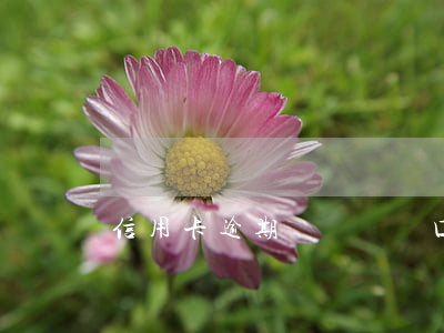 信用卡逾期過對遷戶口有影響嗎
