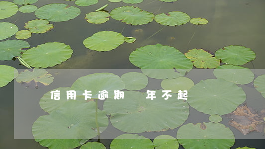 信用卡逾期過年不起訴