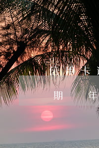 信用卡逾期過年的時候會上門嗎-信用卡逾期過年的時候會上門嗎知乎