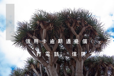 信用卡逾期過幾個(gè)月才會(huì)打電話-信用卡逾期過幾個(gè)月才會(huì)打電話催收