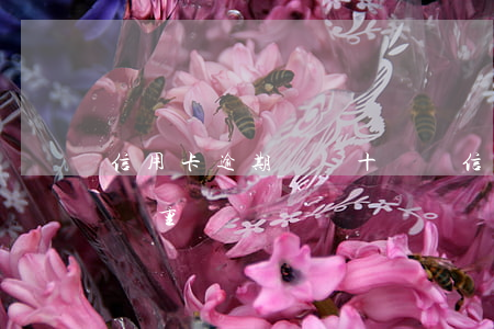 信用卡逾期過幾十塊錢(信用卡逾期十幾塊錢嚴重嗎)