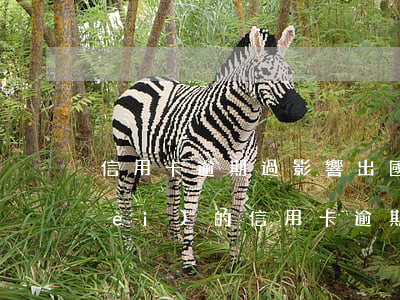 信用卡逾期過影響出國嗎(出國以后國內(nèi)的信用卡逾期還能回國嗎)