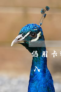 信用卡逾期過影響國企入職嗎(征信逾期影響入職國企嗎)