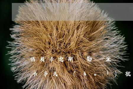信用卡逾期過影響坐飛機(jī)嗎(欠信用卡多久會(huì)被限制坐飛機(jī))