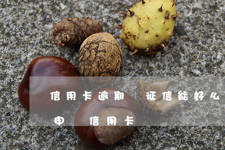 信用卡逾期過征信能好么(征信有逾期能不能申請信用卡)