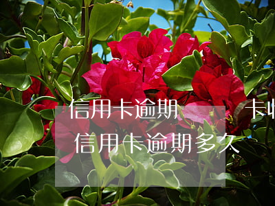 信用卡逾期過從辦卡收多少點(diǎn)(信用卡 逾期多久)