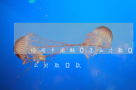 信用卡逾期過怎么才能貸款(信用卡逾期過怎么才能貸款)