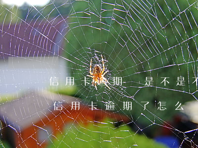 信用卡逾期過是不是不能貸款-銀行貸款和信用卡逾期了怎么辦