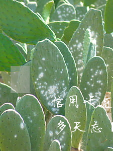 信用卡逾期過期10天了怎么辦 信用卡10多天忘記還算不算逾期
